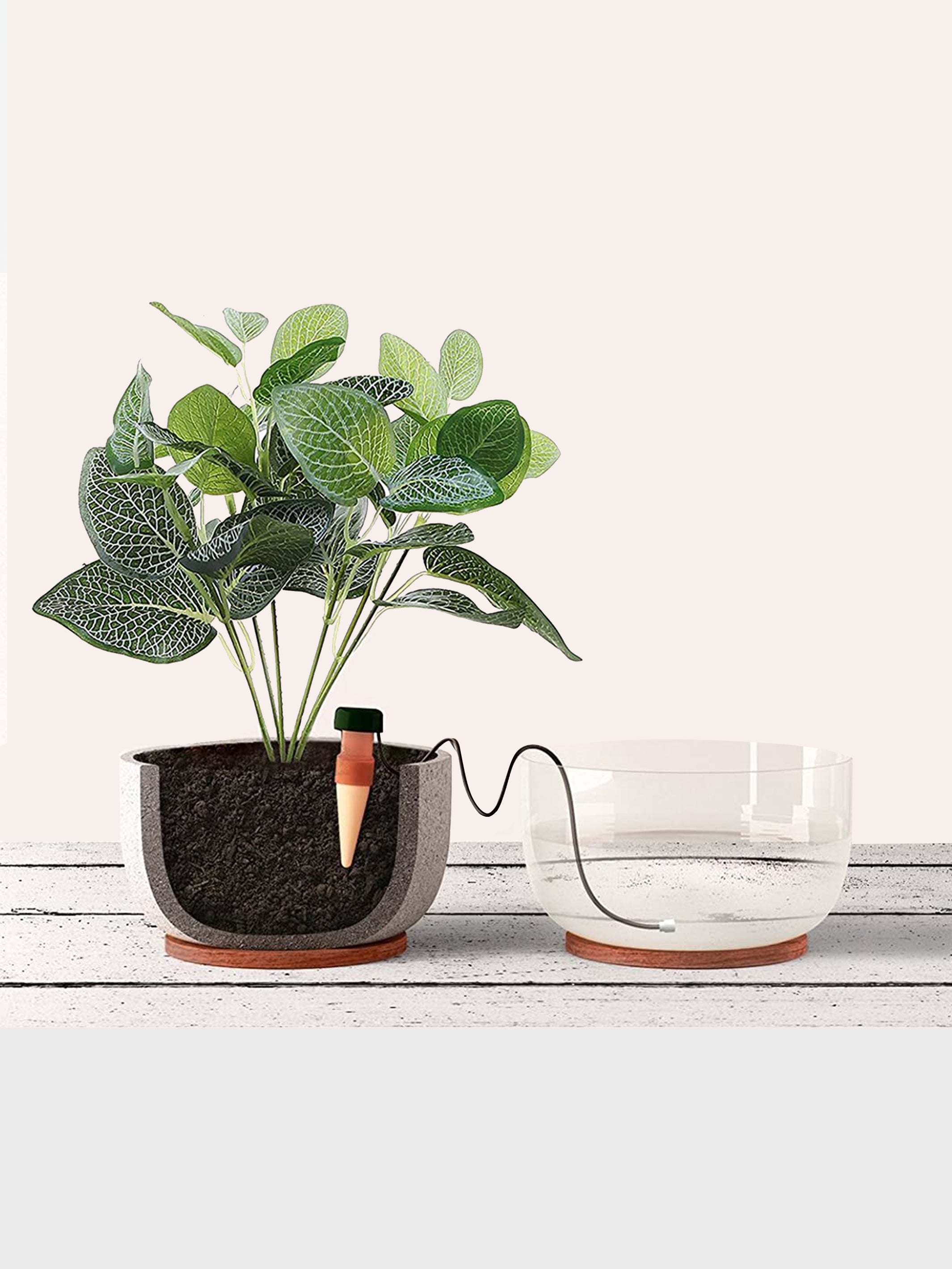 Macetas de Arcilla + Dispensador de Riego Automático