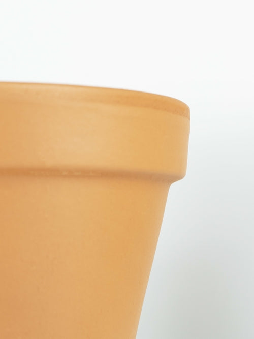 Macetas de Arcilla + Dispensador de Riego Automático