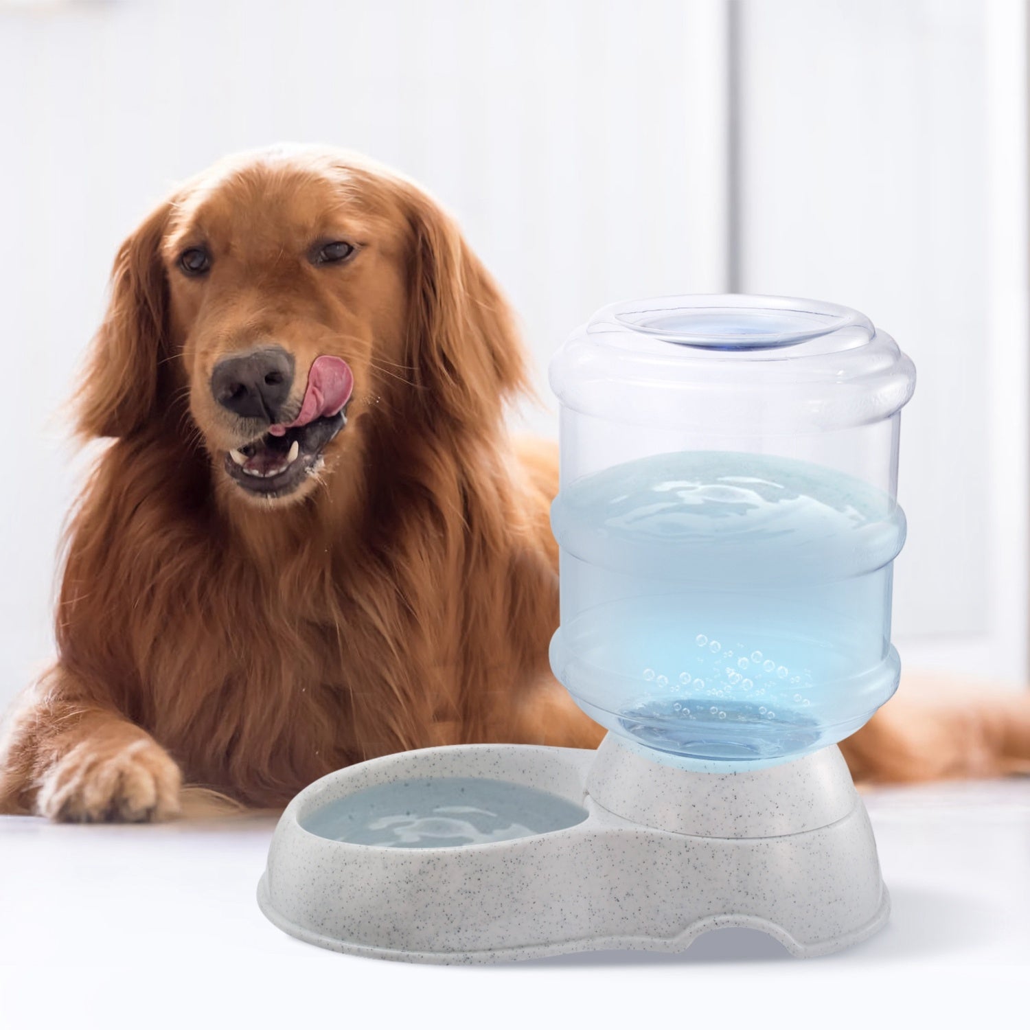 Pet Water Dispenser