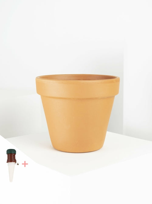 Macetas de Arcilla + Dispensador de Riego Automático