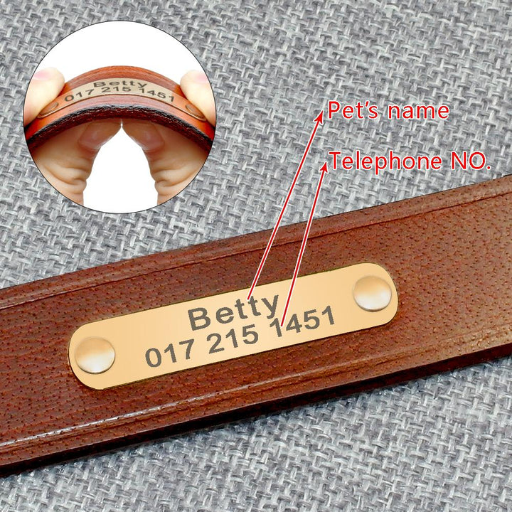 Personalized Dog Collars Leather Customized ID