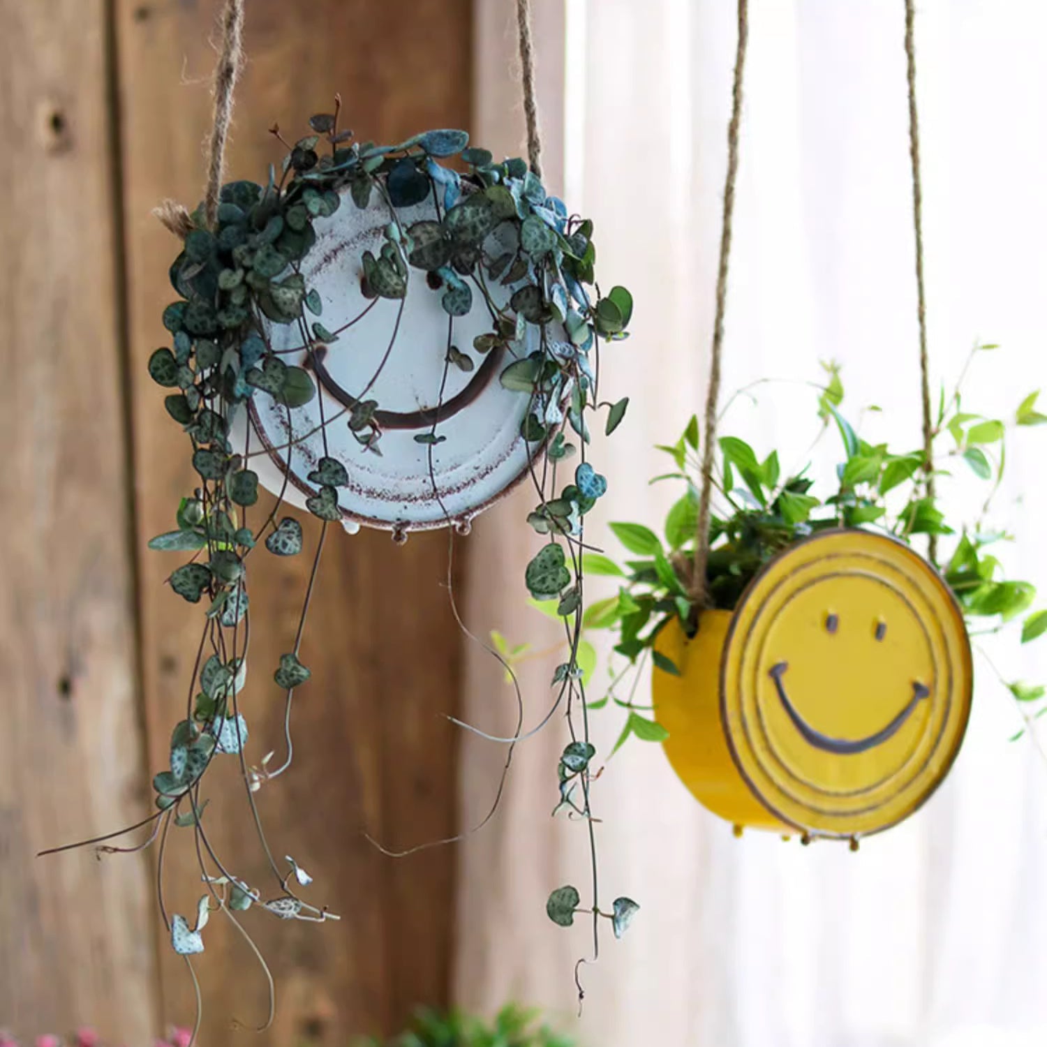 Happy Face Hanging Planter