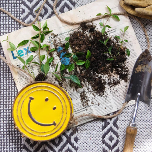 Happy Face Hanging Planter