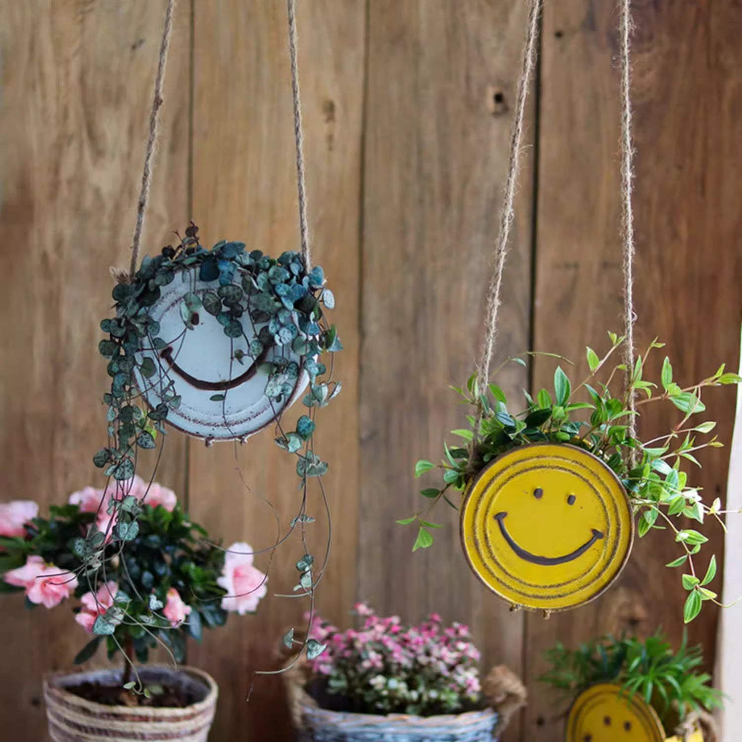 Happy Face Hanging Planter