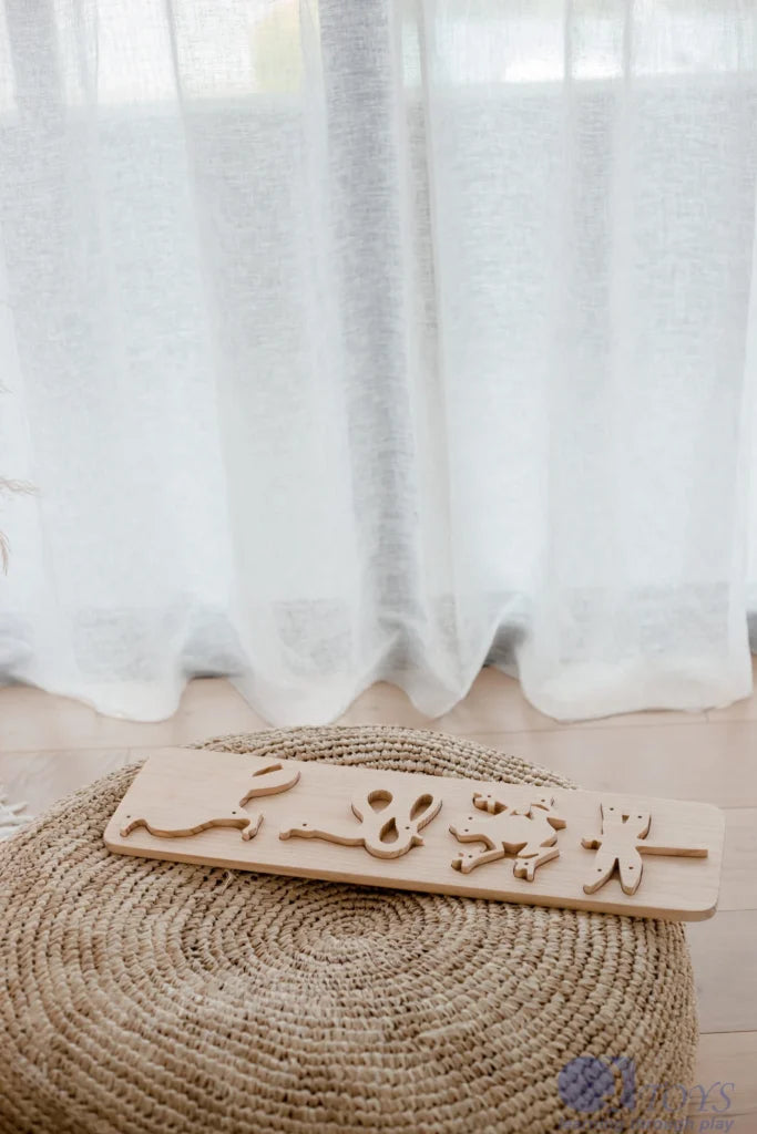 QToys Australia (USA) Food Chain Lacing Set