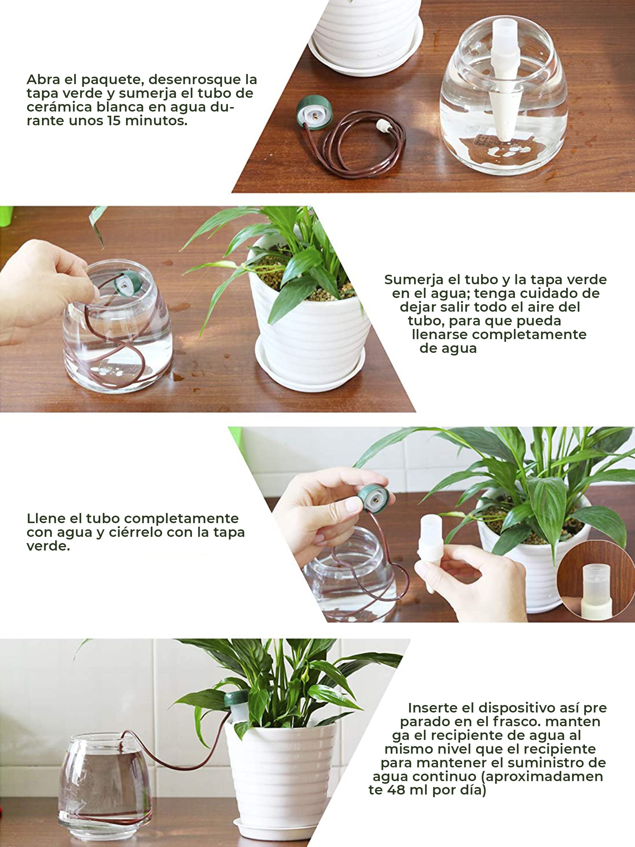 Macetas de Arcilla + Dispensador de Riego Automático