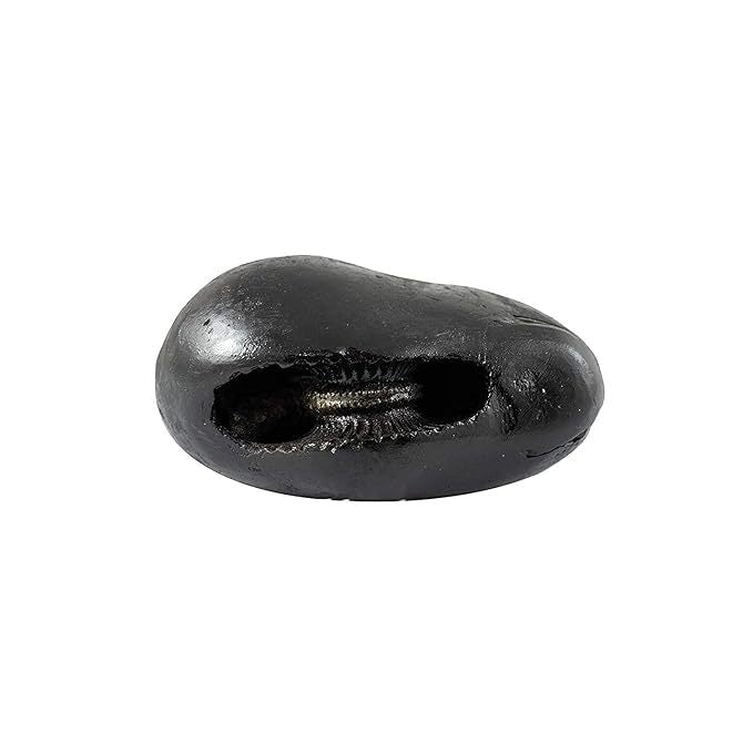 Real Laxmi Narayan Shaligram - 3 Inch Orignal Rare Lakshmi Narayana