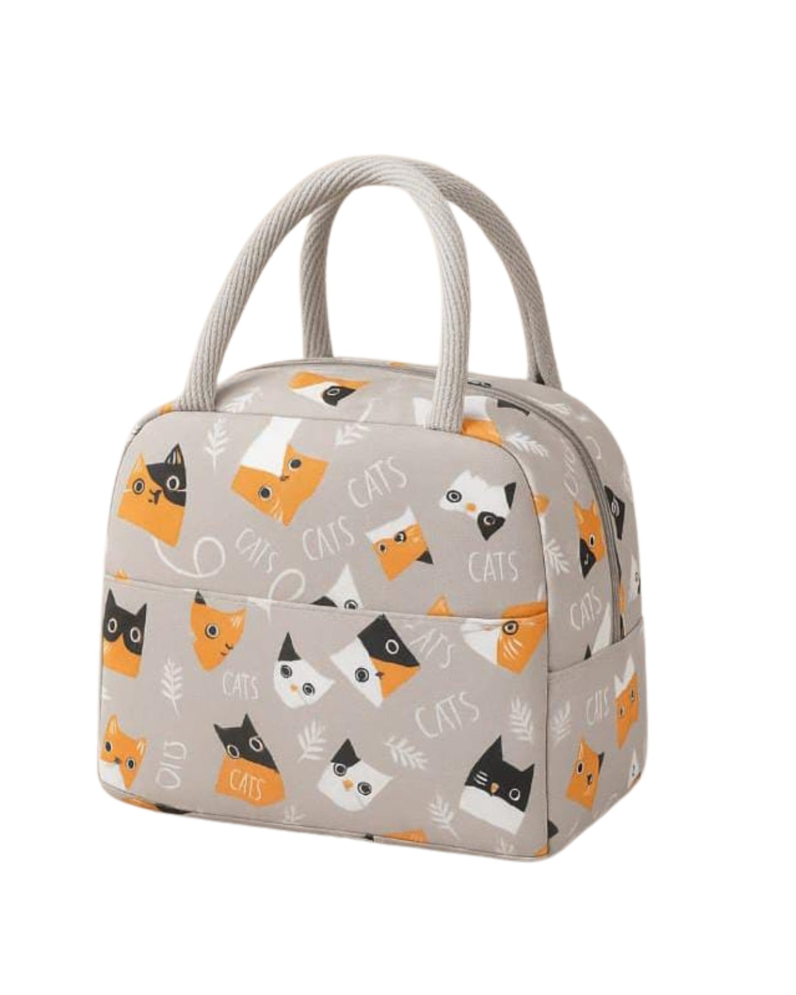 Insulated Lunch Bag for Office, School & Travel | Leak-Proof, Thermal